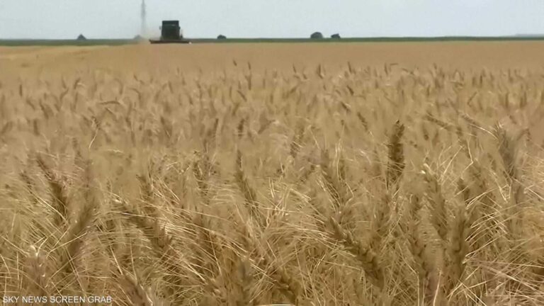 De894c98 9ad6 4fcf 8b0b f0385cf02787 file.jpeg