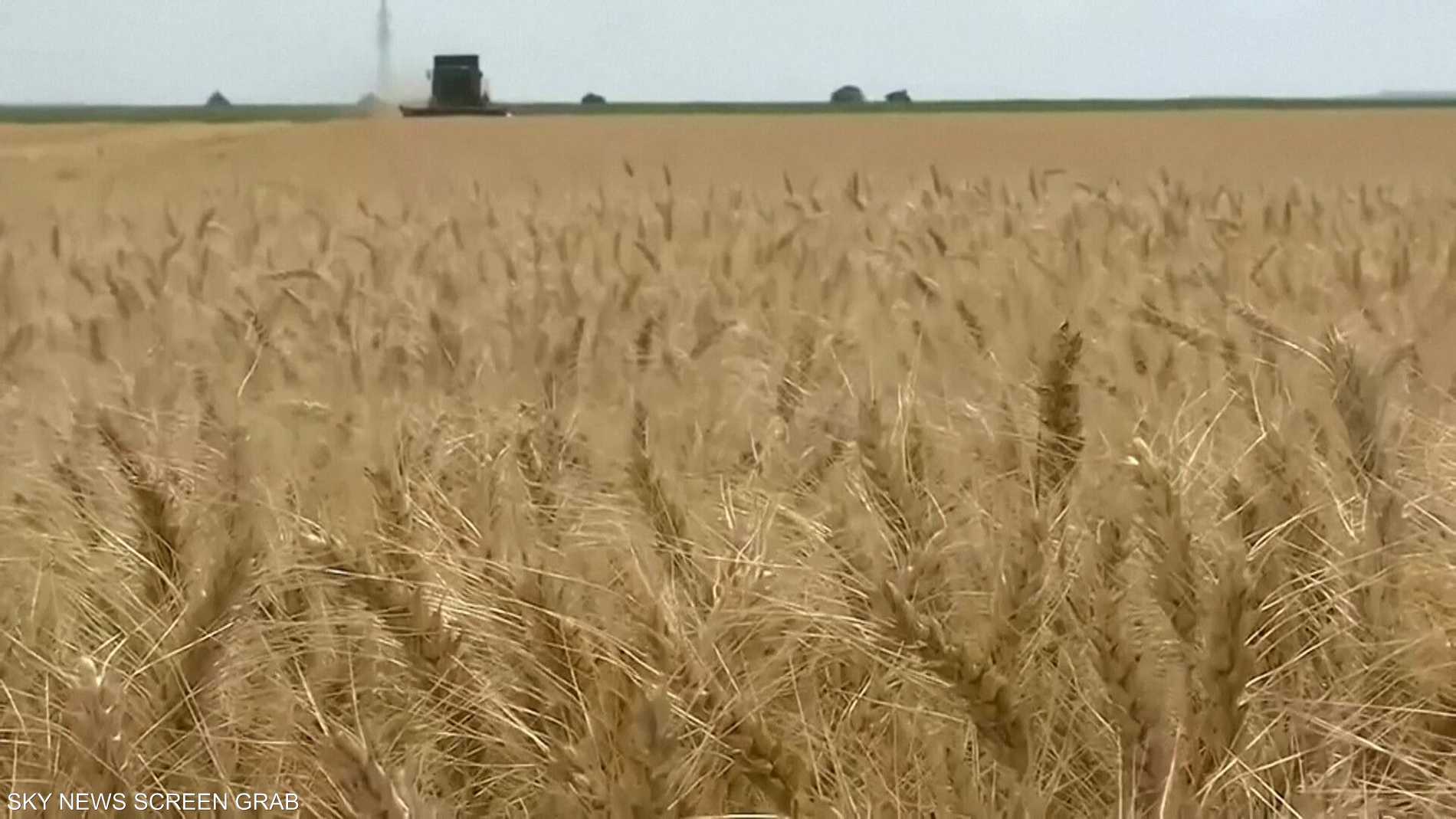 De894c98 9ad6 4fcf 8b0b f0385cf02787 file.jpeg