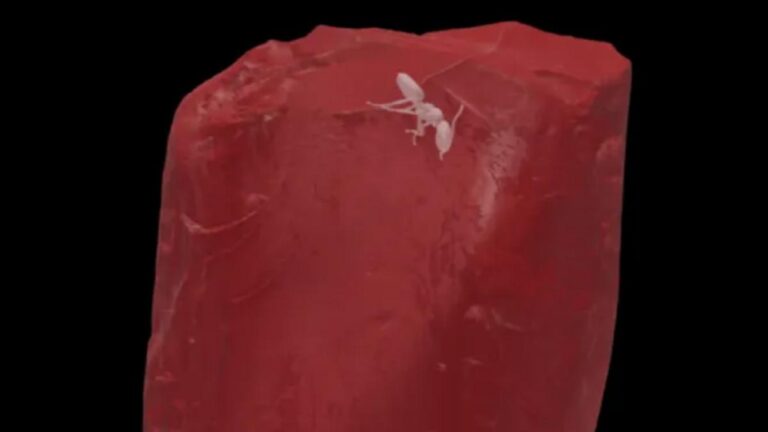 Dea91fef 81b9 4aaa 9ef9 356eb049adb6 file.jpg