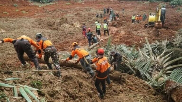 Deac195f 75a8 4f0d 90e8 33b4e1ac0f8d file.jpg