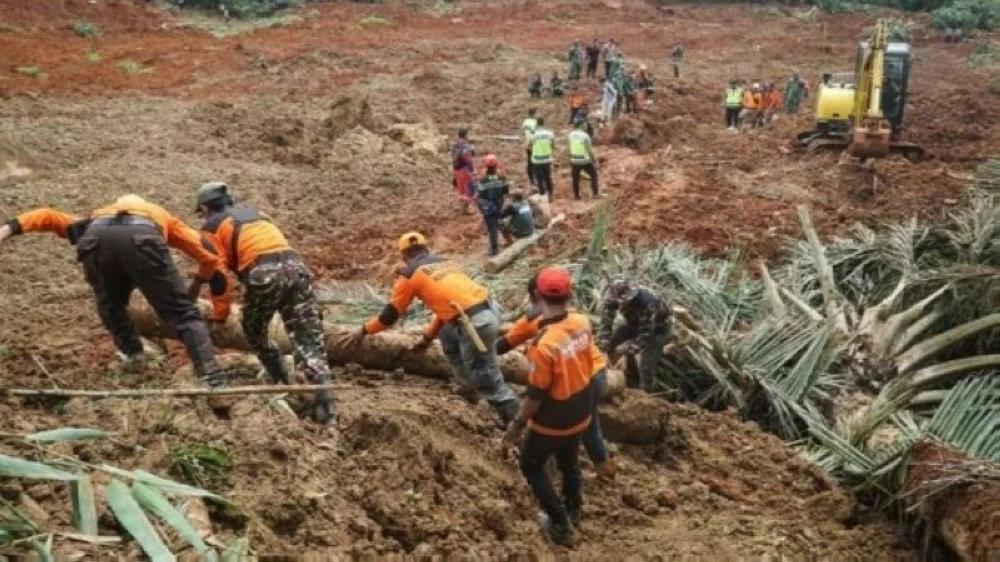 Deac195f 75a8 4f0d 90e8 33b4e1ac0f8d file.jpg