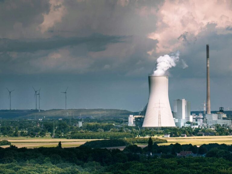 Def8e695 512f 4d0f a88e 9aa69aeb4a2a file.jpeg