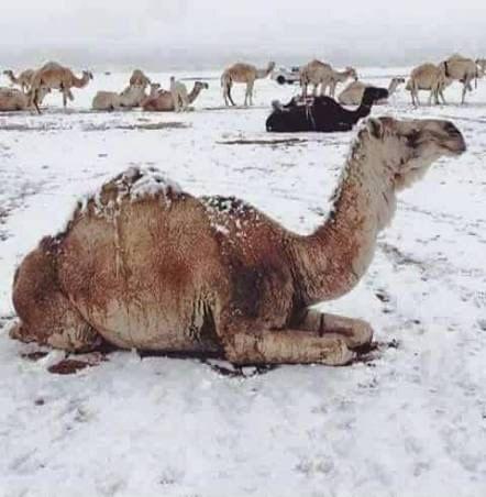 Df9fcfb5 7a6f 48ac 9d80 8b16a727b98b file.jpg