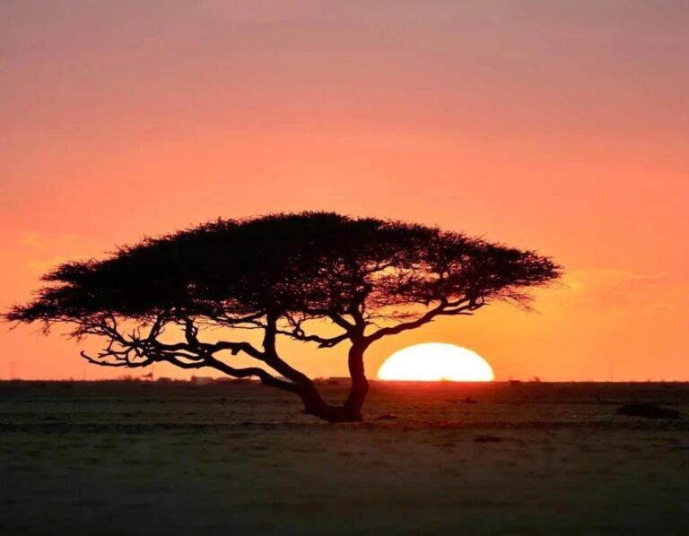 E252e926 6be8 443e ae0d 90495f020b6a file.jpg