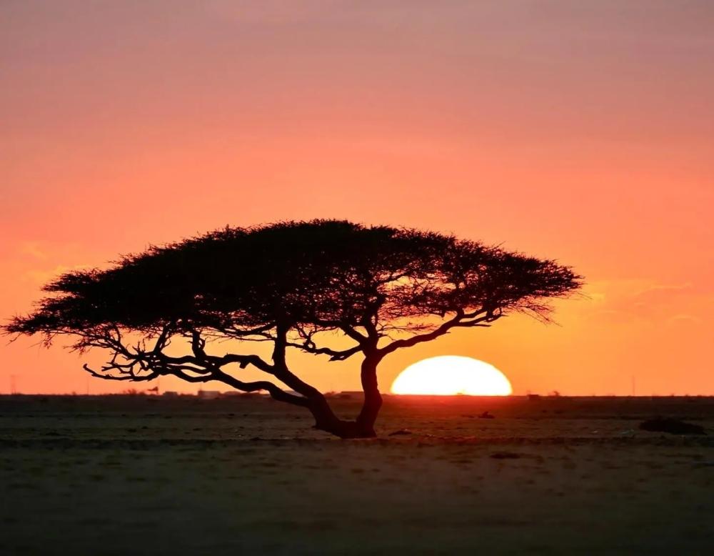 E252e926 6be8 443e ae0d 90495f020b6a file.jpg