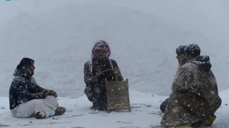 E3cba114 7ddc 4ec9 8d2f c07a12f9f3e0 file.jpg