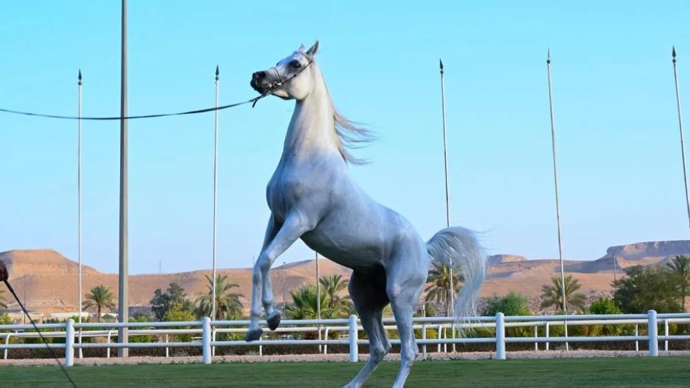 Ed2a14dd dc1b 4d83 9536 8cedf1f80f45 file.jpg