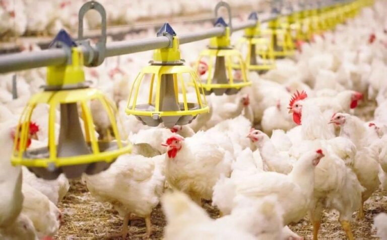 Ef7aa108 3770 4cb2 b735 2d4b717bac5b file.jpg