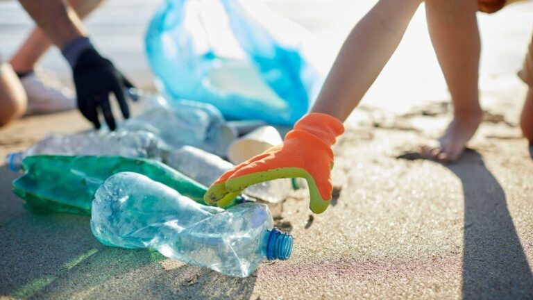 F1bcfe28 8a0a 4f45 bce0 536be0afe23a file.jpg