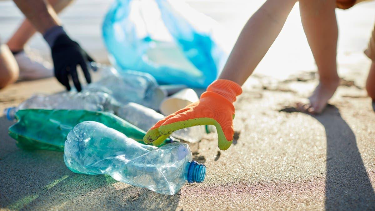 F1bcfe28 8a0a 4f45 bce0 536be0afe23a file.jpg