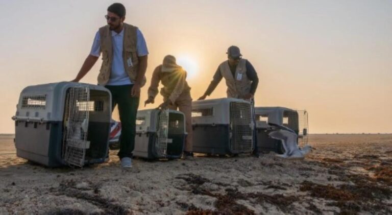 F665f73e 3bd8 49cc b9e9 2bff943a4618 file.jpg