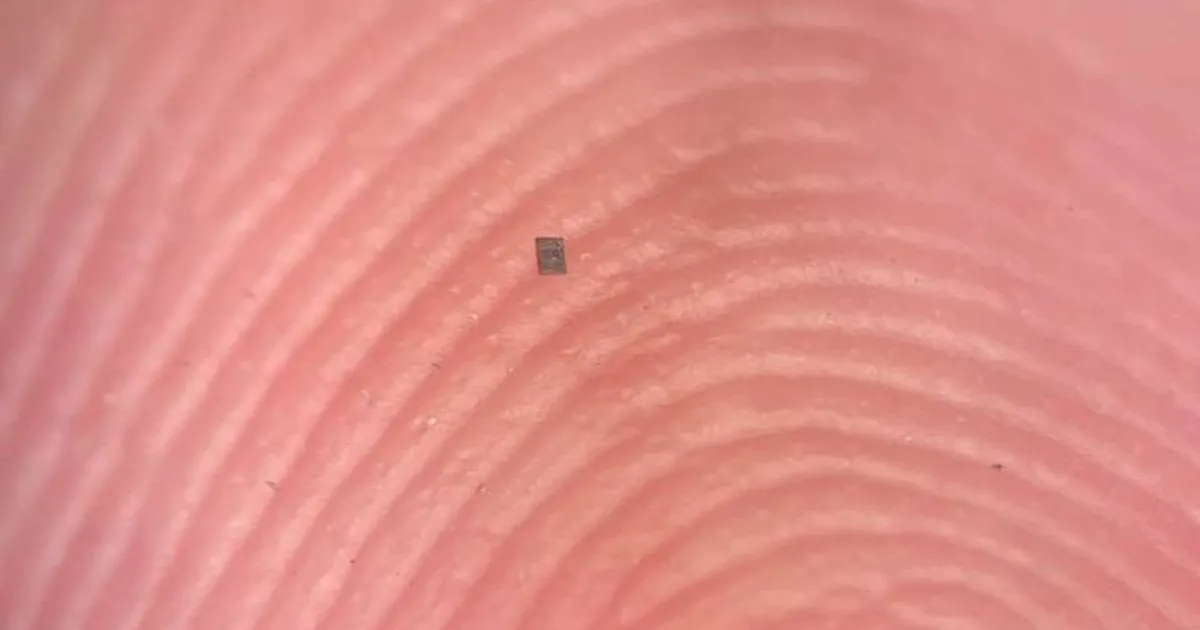 “أصغر من حبة ملح”.. الكشف عن أصغر روبوت ذاتي الحركة في العالم