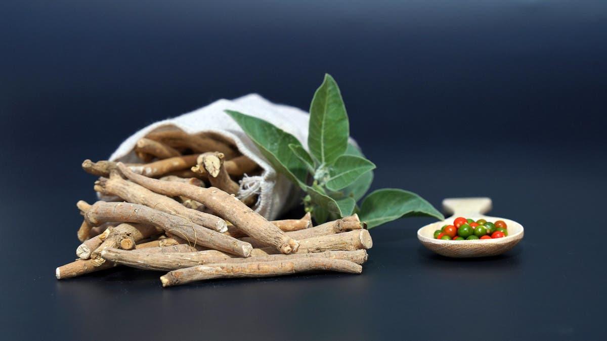 F9e8e152 5381 43f1 af37 dca2ef1be14a file.jpg