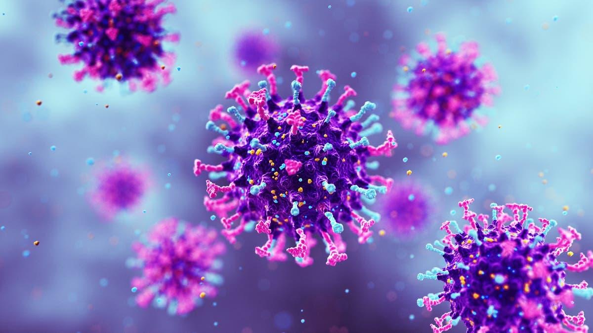 Fab51b8f b586 4a33 b553 8e912388ba75 file.jpg