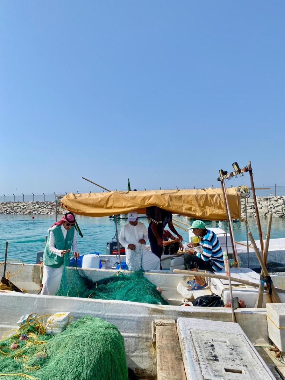 Fd5bd956 b821 4aad 9ed4 8531cb60cc8f file.jpg