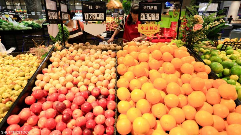 Fe6fc839 16b9 4429 8e2c 6fc02377a211 file.jpeg