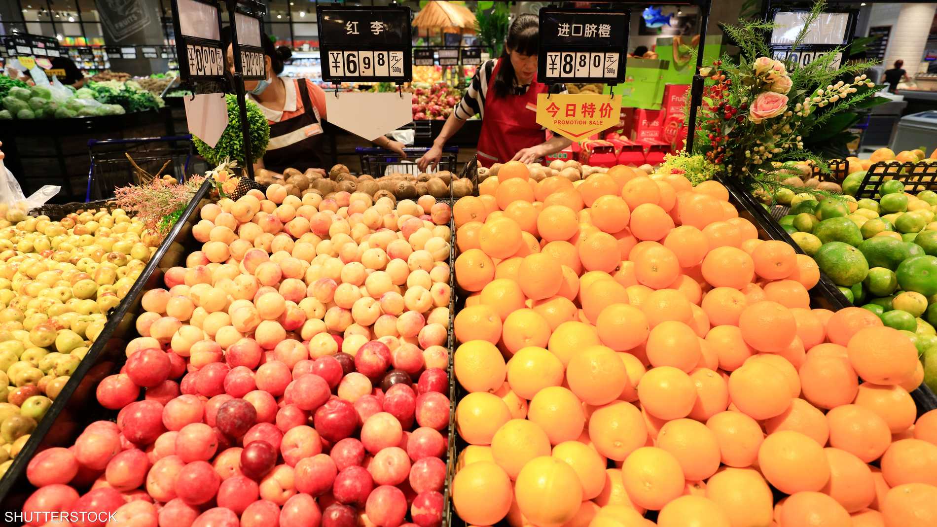 Fe6fc839 16b9 4429 8e2c 6fc02377a211 file.jpeg