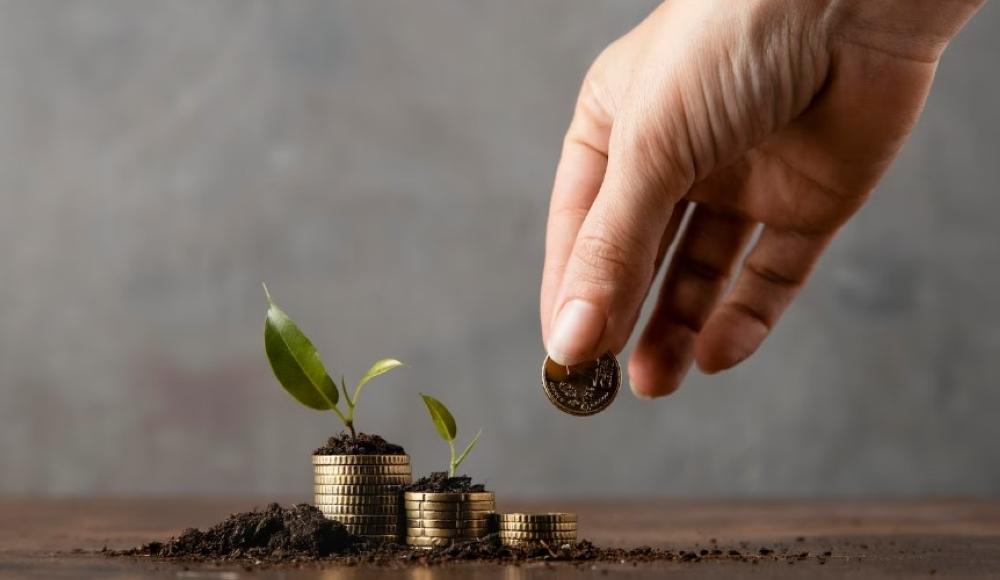 Fea45a6d 9651 48d1 90f2 2152c924d90d file.jpg