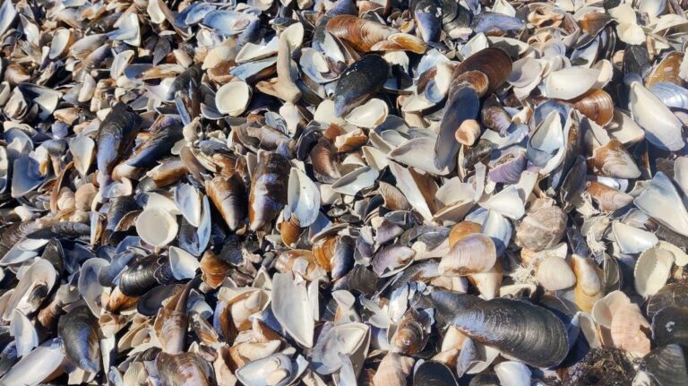 006c4384 142a 43cc a343 bf00541a5afe file.jpg