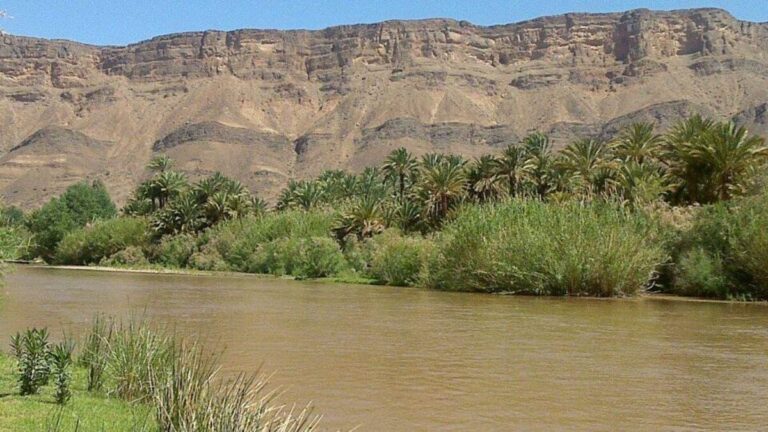 0393ce01 43ed 45ba 9586 1dd43d6887d1 file.jpg