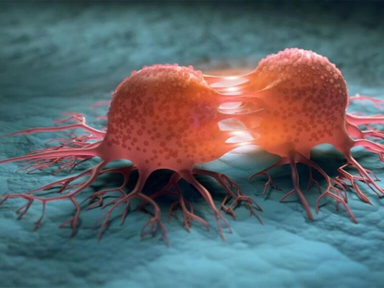 07d6d879 083d 4cf9 a343 45d929c5fdde file.jpg