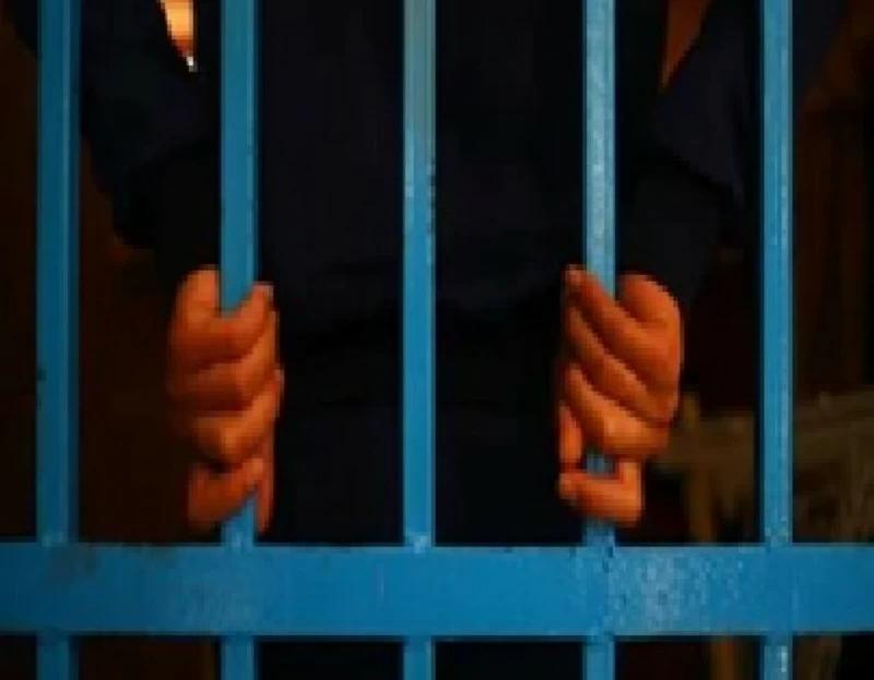 09f5926d 8478 477b 8844 f4b57b9b7966 file.jpg