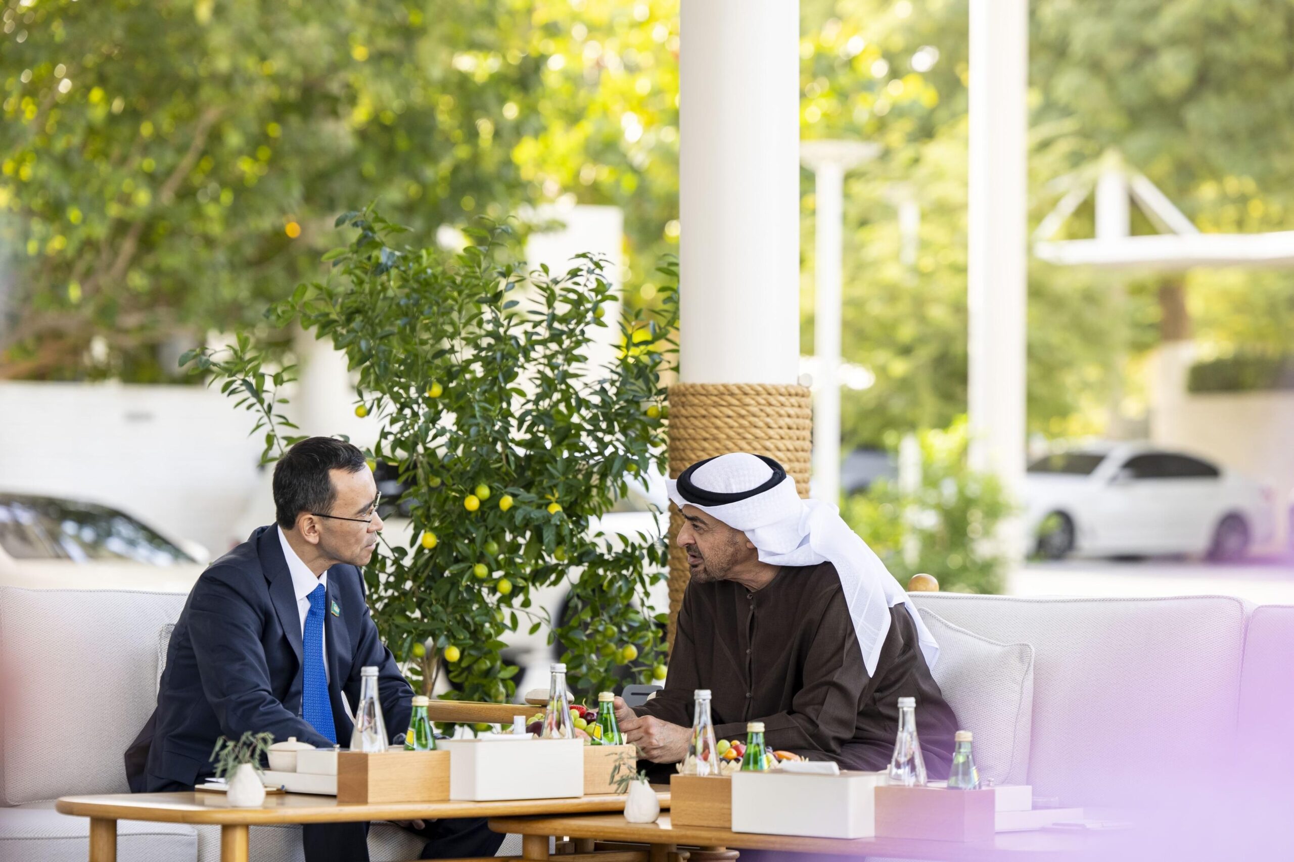 0bf009f1 201e 4310 a478 6d1de52606df file.jpg