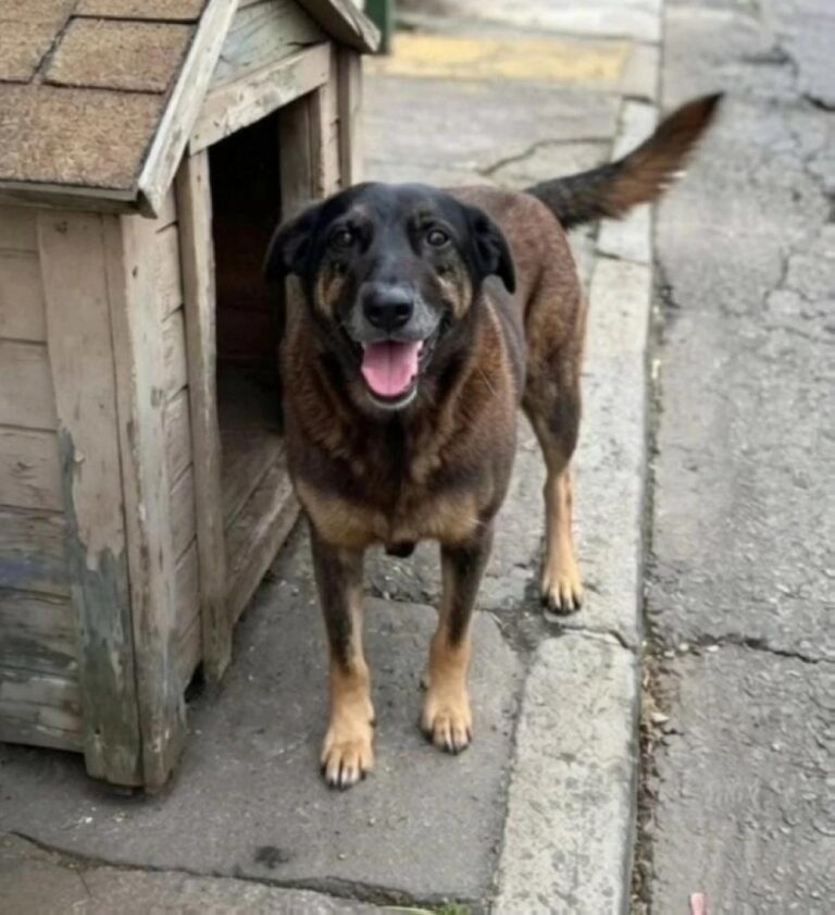 0c0e7735 0dcc 4f64 afbe b7a10f1b96df file.jpg