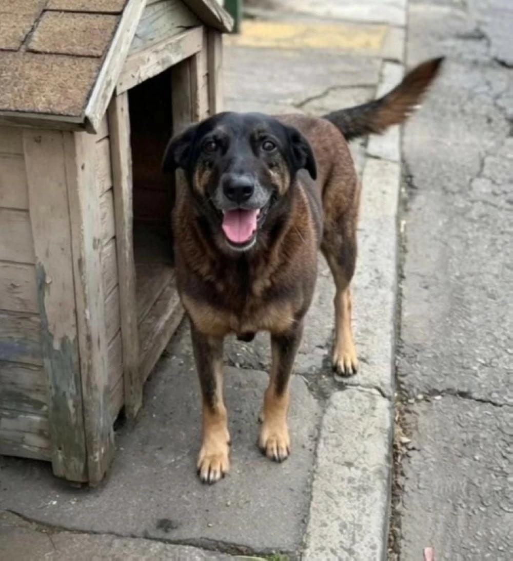 0c0e7735 0dcc 4f64 afbe b7a10f1b96df file.jpg