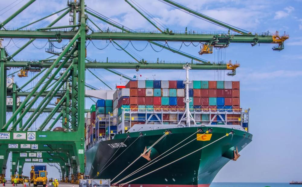 0c1094f9 8fcf 4826 8839 cf436374a993 file.jpg