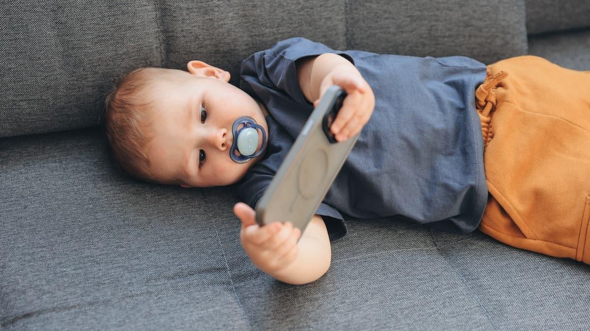 17dbdf3a b156 405b ba08 bb6906cd12d8 file.jpg