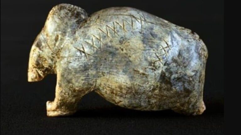 19dba82b 32c3 4a77 a1af 75d8c115821c file.jpg