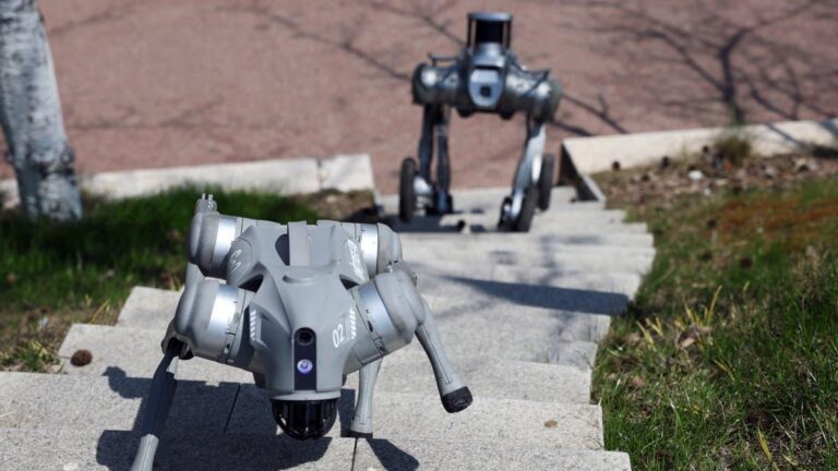 1b2eed34 a4c8 47f2 ac86 91e964767075 file.jpg