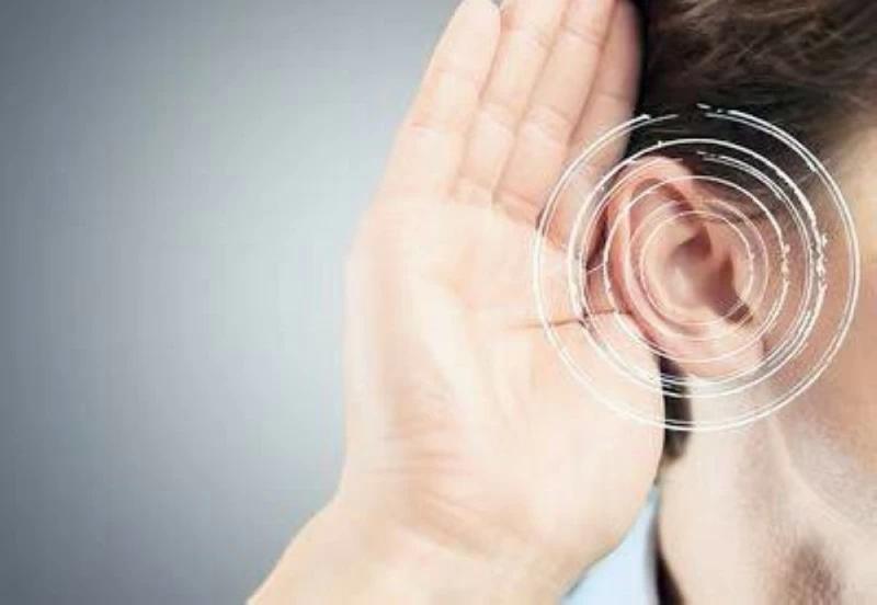 1c614a6b d967 41d0 98a2 fc2fb7d3a501 file.jpg