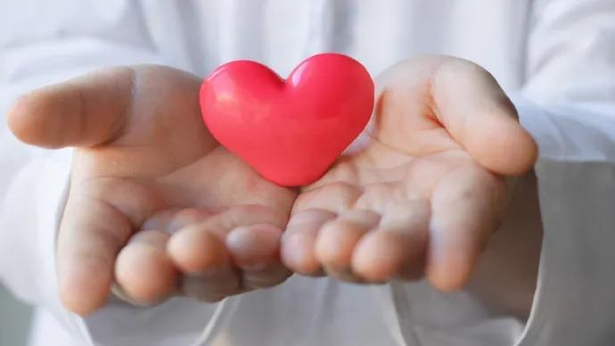 1cb9ffd6 a16d 491f 968a 386bbd52baa4 file.jpg