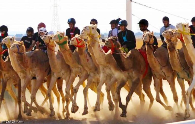 21cf9c99 8fc0 48e1 b743 a5ee4535f5f9 file.jpg