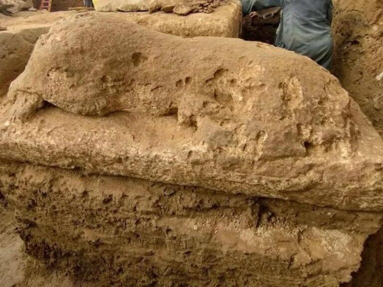 23ef5b77 0a7d 4194 b04e 46e7221c2e0d file.jpg