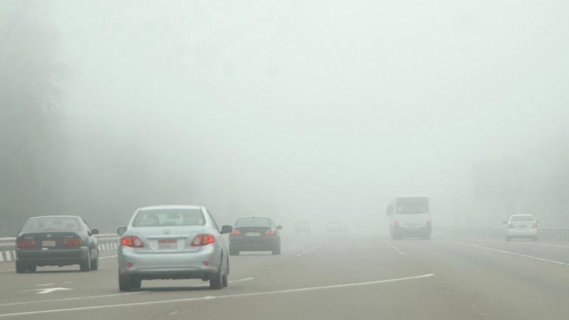 2598de5d 92b4 40c8 9149 eea301e11d71 file.jpg