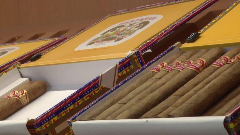 2cacf32d c48a 4079 9138 3941ac9529ad file.jpg