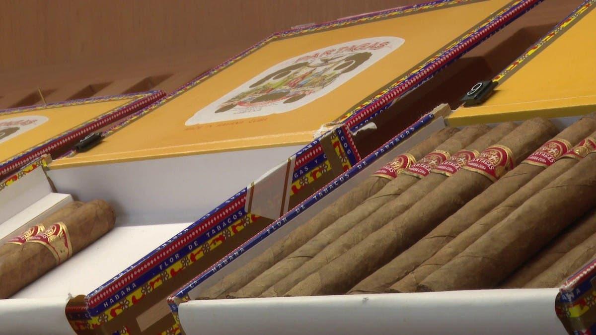 2cacf32d c48a 4079 9138 3941ac9529ad file.jpg