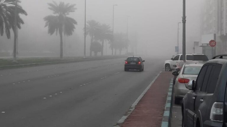 2ccfd8fb b05c 4837 9516 f06ad5cdc513 file.jpg