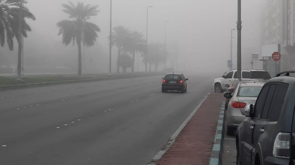 2ccfd8fb b05c 4837 9516 f06ad5cdc513 file.jpg