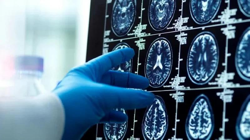 2d145bec fe70 4f7b a209 594e09fb4575 file.jpg