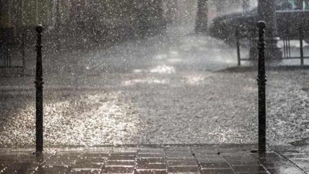 2ee2f8bd 07ab 482f 91ef 029b4175a5fe file.jpg