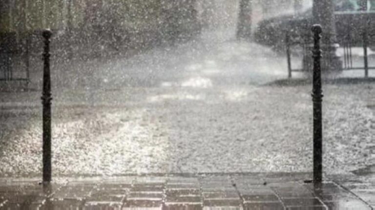 2f5d6f87 1b71 4ea6 8a76 9117a8cd704d file.jpg