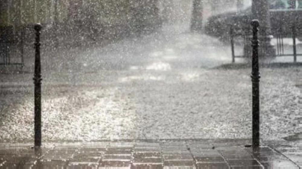 2f5d6f87 1b71 4ea6 8a76 9117a8cd704d file.jpg