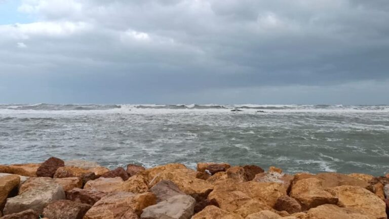 30195e06 acfe 42e9 ba81 b76563959d0b file.jpg