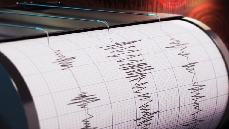 37106833 4ddd 4728 a258 30777dc69f8c file.jpg