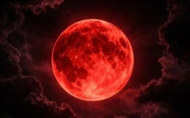 379b1ceb 0a9f 4a92 bf69 98a7d8ab2043 file.jpg