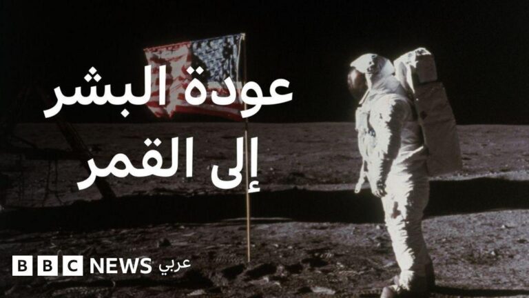 3801cee8 9a2c 423f 9eb0 c5055d4e4e4c file.jpg